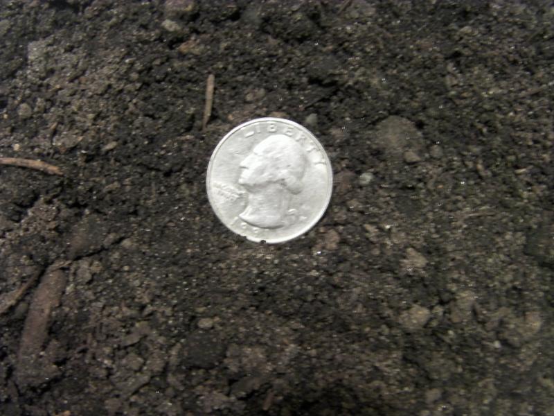 5 Way Topsoil.  Color will vary as will size of material in it.