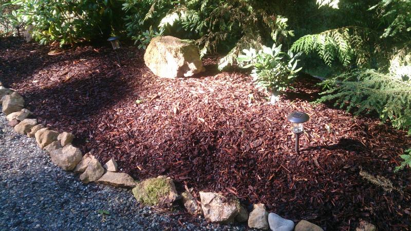 Coarse Bark