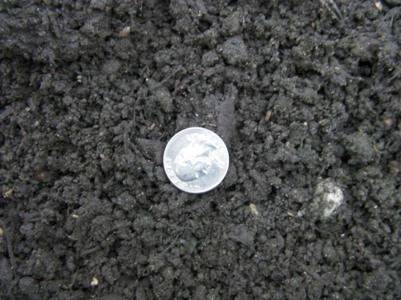 Sandy 3 way Topsoil with quarter to show approx size of material. Size will vary