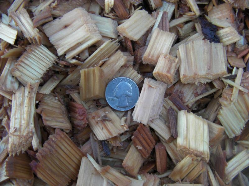The Cedar Play Chip is approx. 3 inches on down. Sample shown is slightly wet.