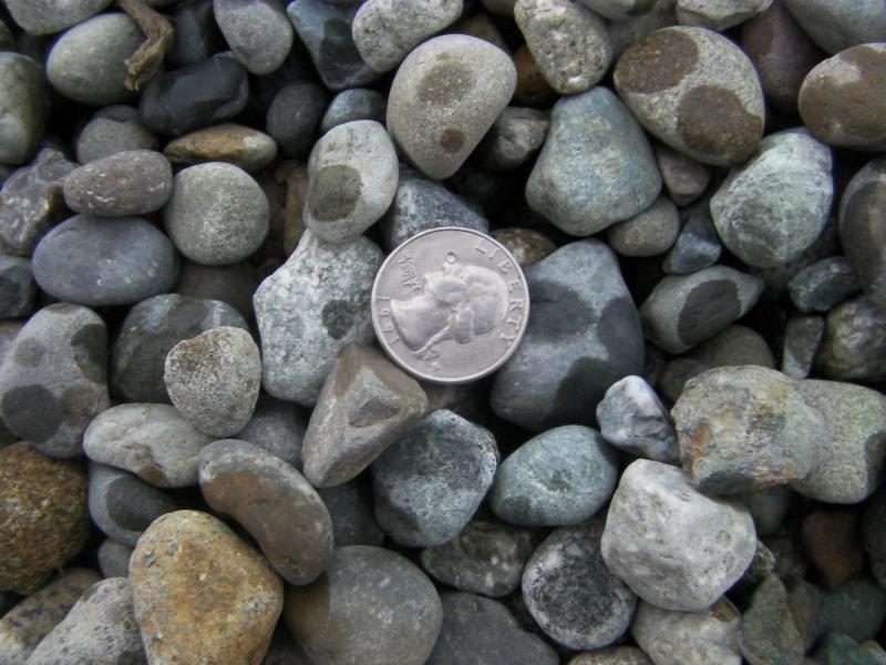 7/8th washed round drain rock.  Quarter used to show approx size.  Color varies.