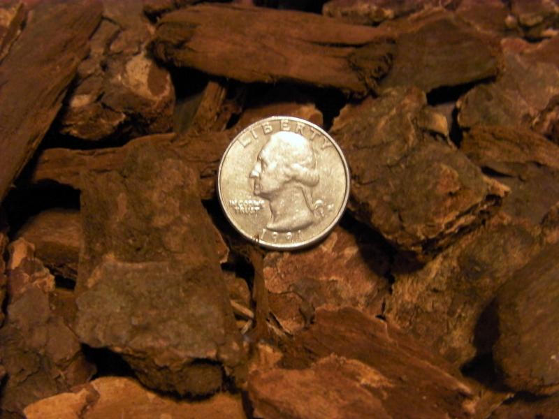Large Nugget Bark
