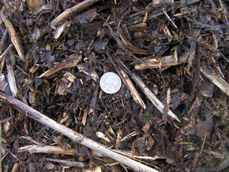 Coarse Wood Mulch.  Has the whole tree ground up in it.  For the Bargin Hunter.