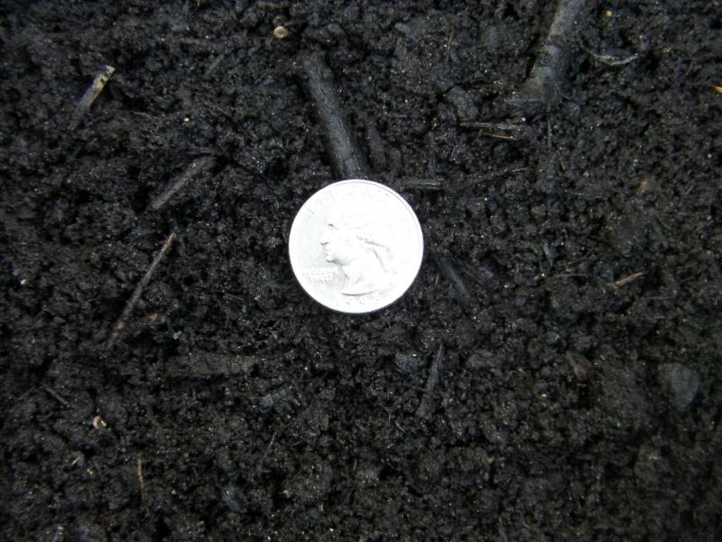 Cedar Grove Compost.  This sample is a little on the moist side.