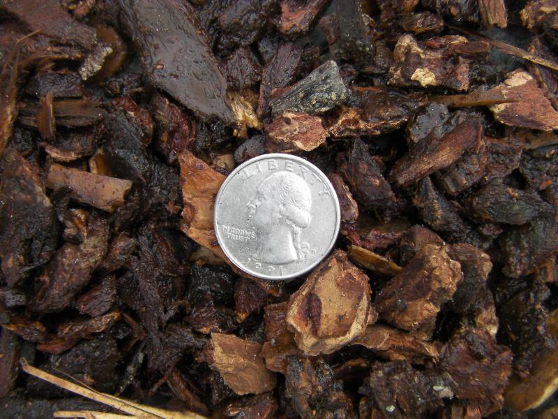 Small Nugget Bark