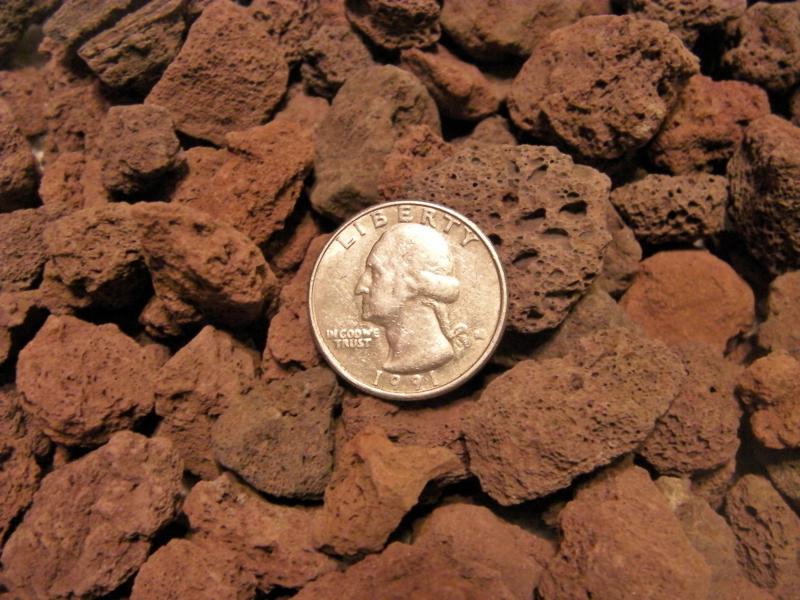 3/4 inch Red Lava.  Quarter to help show size of rock.